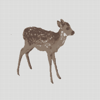 Deer no background.png