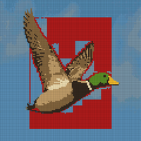 Copy of mallard-paint-by-numbers.jpg
