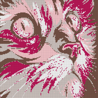 Copy of Copy of cat.webp