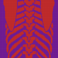 Back