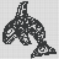 BW orca.webp