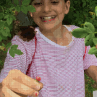1F3B4016-E61C-413E-A8B8-7DF77643BD11_1_105_c.jpeg