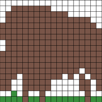 Buffalo