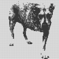 tripod dog.jpg