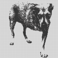 tripod dog.jpg