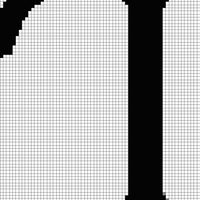 IMG_2040.jpeg