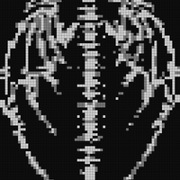 Copy of Angel ribs