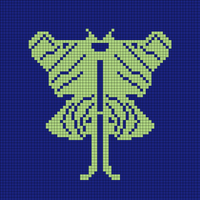 Moth