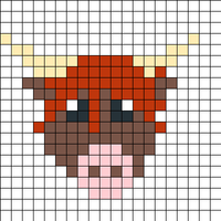 highland coo