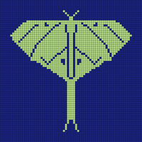 Moth 3