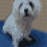 IMG_20230726_192811_Bokeh.jpg