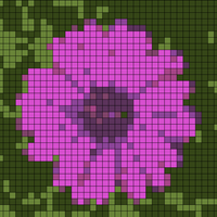 purple-osteospermum-daisy-flower_1373-16.avif