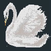 Swan