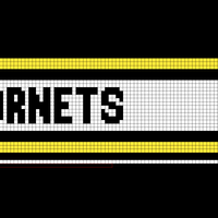 Hornets Toque