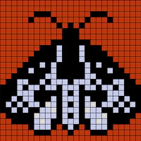 Copy of moth