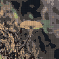 Mushroom square.jpg