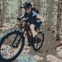 Bike square.jpg
