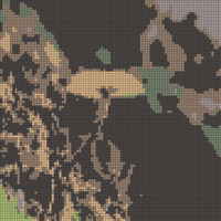 Mushroom square.jpg
