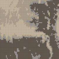 IMG_1617.PNG