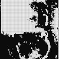 IMG_1617.png