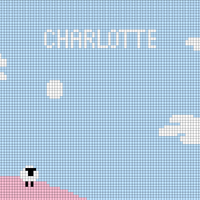 Copy of BLANKIE TOP
