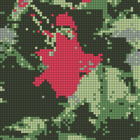 IMG_0134.jpeg