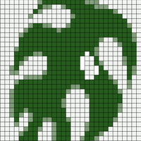 Monstera