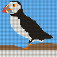 Copy of puffin.webp