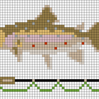 Rainbow-Trout-34.webp