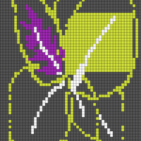 coleus