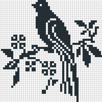 Bird_5