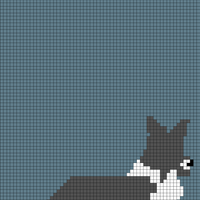 corgi
