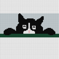 cat face & paws.jpg