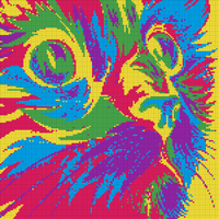 cat.webp