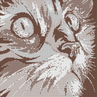 Copy of cat.webp