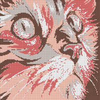 Copy of Copy of cat.webp