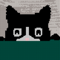 cat face.jpg