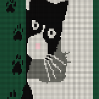 Black cat blanket.jpg