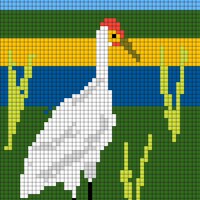whooping crane