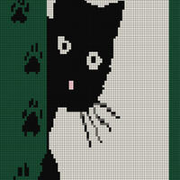 Copy of Black cat blanket.jpg