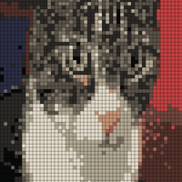 Screenshot_20240228-122032.png