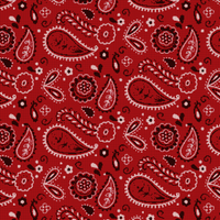 bc993ee658079559ef5eeea9472321d9.jpg