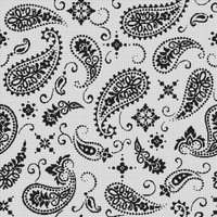 bwpaisley.webp