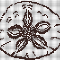 sand dollar