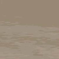 IMG_1902.jpeg