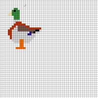duck