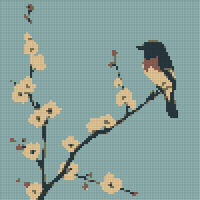 bird1.jpg