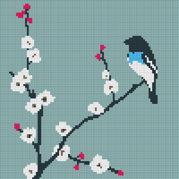 bird1.jpg
