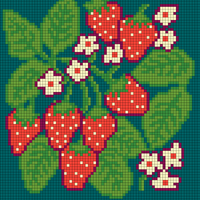 fraise INTARSIA