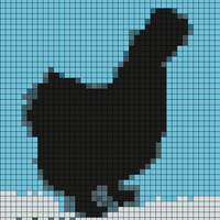 1st-black-silkie-hen-Kathryn-Brown.jpg
